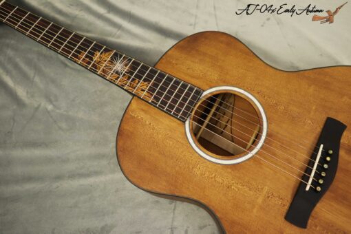 Thuận Guitar AT-04X EARLY AUTUM (SPECIAL) - Ảnh 2