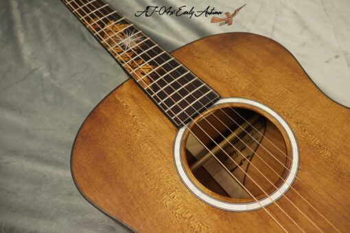 Thuận Guitar AT-04X EARLY AUTUM (SPECIAL) - Ảnh 3