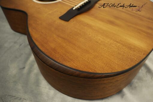 Thuận Guitar AT-04X EARLY AUTUM (SPECIAL) - Ảnh 4