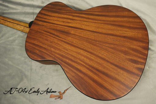 Thuận Guitar AT-04X EARLY AUTUM (SPECIAL) - Ảnh 7