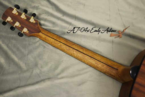 Thuận Guitar AT-04X EARLY AUTUM (SPECIAL) - Ảnh 8