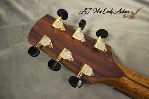 Thuận Guitar AT-04X EARLY AUTUM (SPECIAL) - Ảnh 9