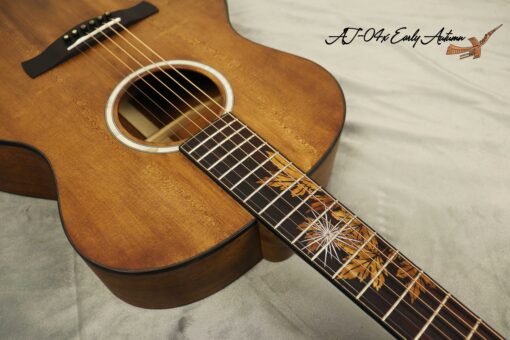 Thuận Guitar AT-04X EARLY AUTUM (SPECIAL) - Ảnh 10