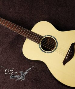 Thuận Guitar AT-05X