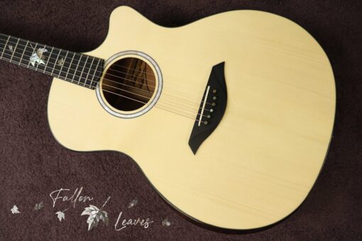 Thuận Guitar AT-04CX-Fallen-leaves - Ảnh 2