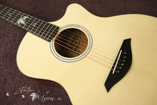 Thuận Guitar AT-04CX-Fallen-leaves - Ảnh 3