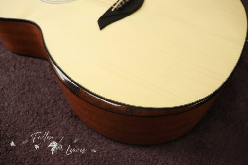 Thuận Guitar AT-04CX-Fallen-leaves - Ảnh 4
