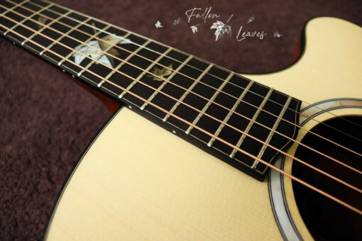 Thuận Guitar AT-04CX-Fallen-leaves - Ảnh 8
