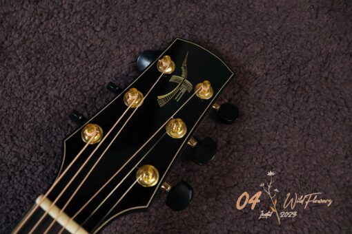 Thuận Guitar OT-04X WILDFLOWERS - Ảnh 6