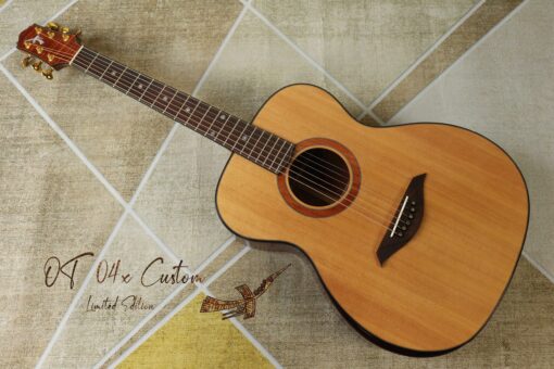 Thuận Guitar AT-04X EARLY AUTUM (SPECIAL)