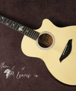 Thuận Guitar AT-04CX-Fallen-leaves