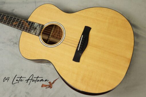 Thuận Guitar AT-04X LATE AUTUMN 2023 - Ảnh 2