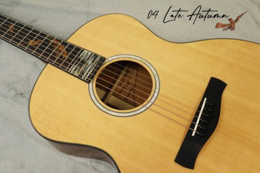 Thuận Guitar AT-04X LATE AUTUMN 2023 - Ảnh 3
