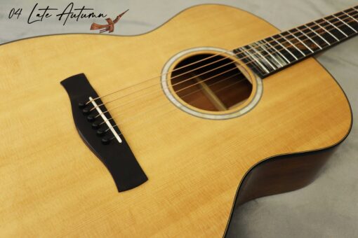 Thuận Guitar AT-04X LATE AUTUMN 2023 - Ảnh 6