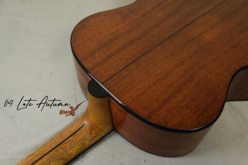 Thuận Guitar AT-04X LATE AUTUMN 2023 - Ảnh 12