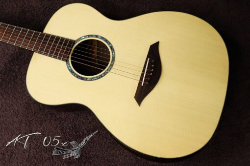 Thuận Guitar AT-05X - Ảnh 2