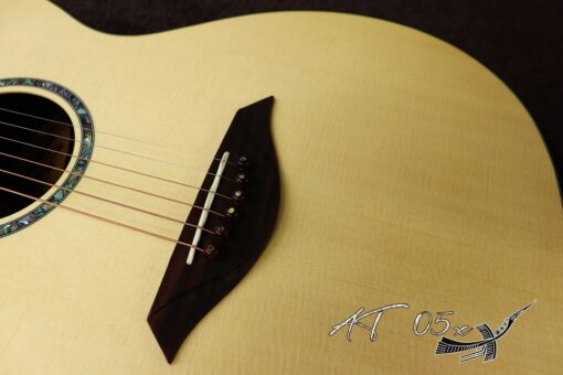 Thuận Guitar AT-05X - Ảnh 6