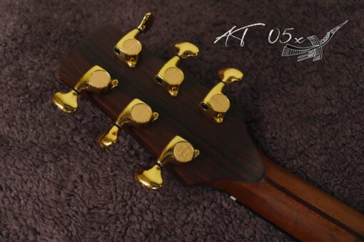 Thuận Guitar AT-05X - Ảnh 12