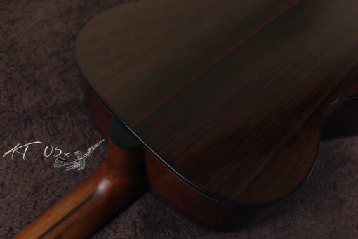 Thuận Guitar AT-05X - Ảnh 13