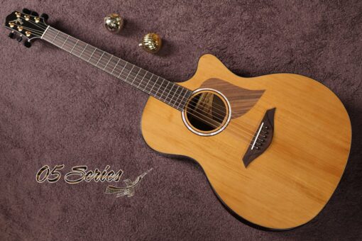 Thuận Guitar AT-05CX (CEDAR TOP) - Ảnh 11