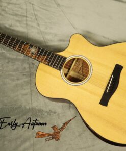 Thuận Guitar AT-04CX EARLY AUTUMN 2022