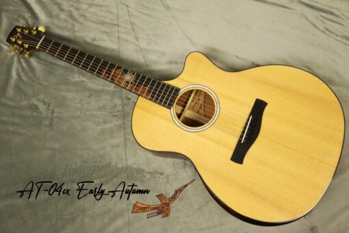 Thuận Guitar AT-04CX EARLY AUTUMN 2022 - Ảnh 15