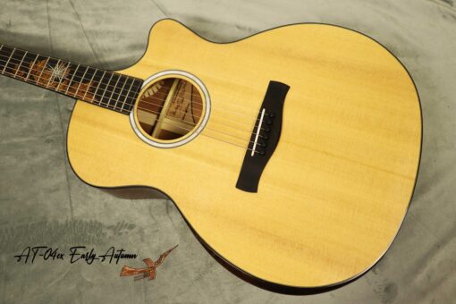 Thuận Guitar AT-04CX EARLY AUTUMN 2022 - Ảnh 2