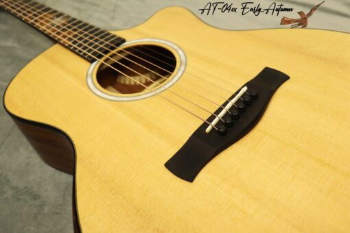 Thuận Guitar AT-04CX EARLY AUTUMN 2022 - Ảnh 5
