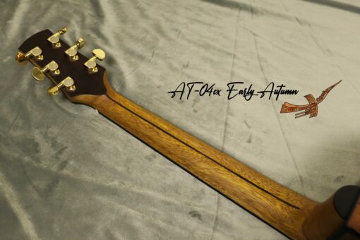 Thuận Guitar AT-04CX EARLY AUTUMN 2022 - Ảnh 10