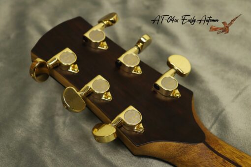 Thuận Guitar AT-04CX EARLY AUTUMN 2022 - Ảnh 11