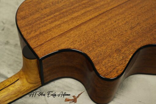 Thuận Guitar AT-04CX EARLY AUTUMN 2022 - Ảnh 12