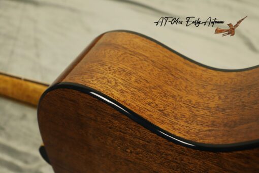 Thuận Guitar AT-04CX EARLY AUTUMN 2022 - Ảnh 13