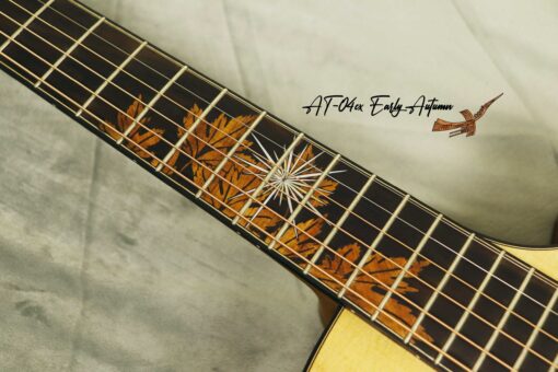 Thuận Guitar AT-04CX EARLY AUTUMN 2022 - Ảnh 14