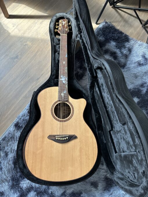 Thuận Guitar AT-07 Thiên lý mã - Ảnh 8