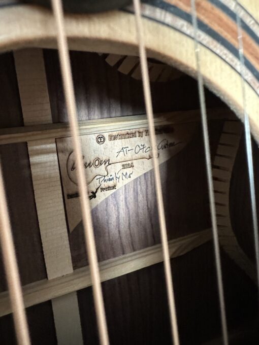 Thuận Guitar AT-07 Thiên lý mã - Ảnh 11