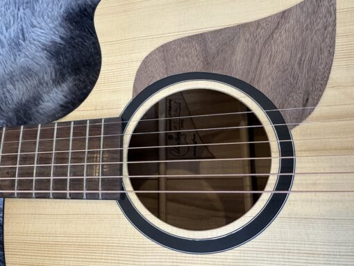 Thuận Guitar AT03C LP 2025 - Ảnh 3