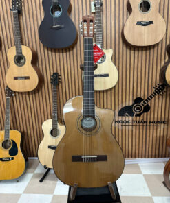 fender esc 110 NSCE 1