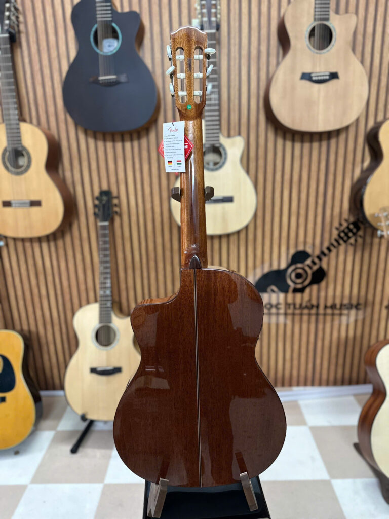 fender esc 110 NSCE 5