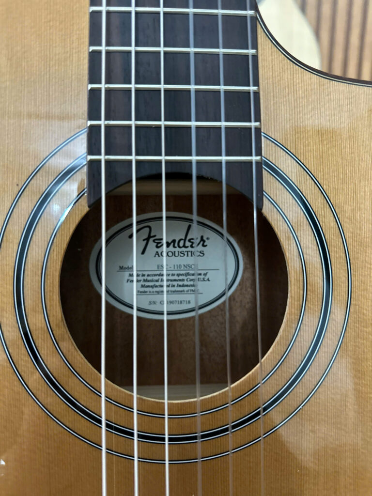 fender esc 110 NSCE 6
