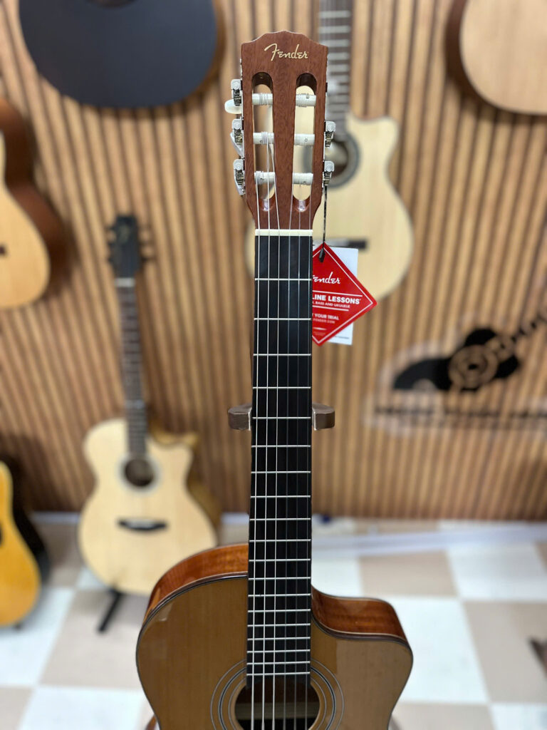 fender esc 110 NSCE 7