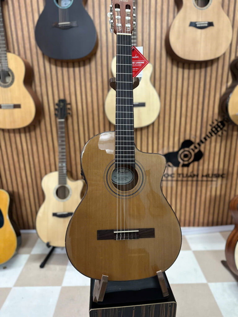 fender esc 110 NSCE 8