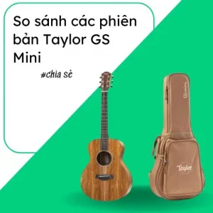so sanh Taylor GSMini