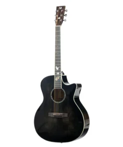 Đàn Guitar Acoustic Murcia AS-20CE