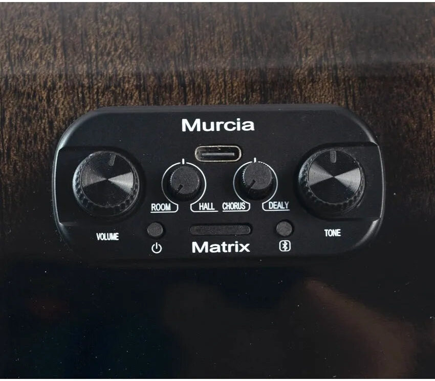 Đàn Guitar Acoustic Murcia AS-20CE 22 Guitar Acoustic Murcia AS 20CE 3 e1774508898116