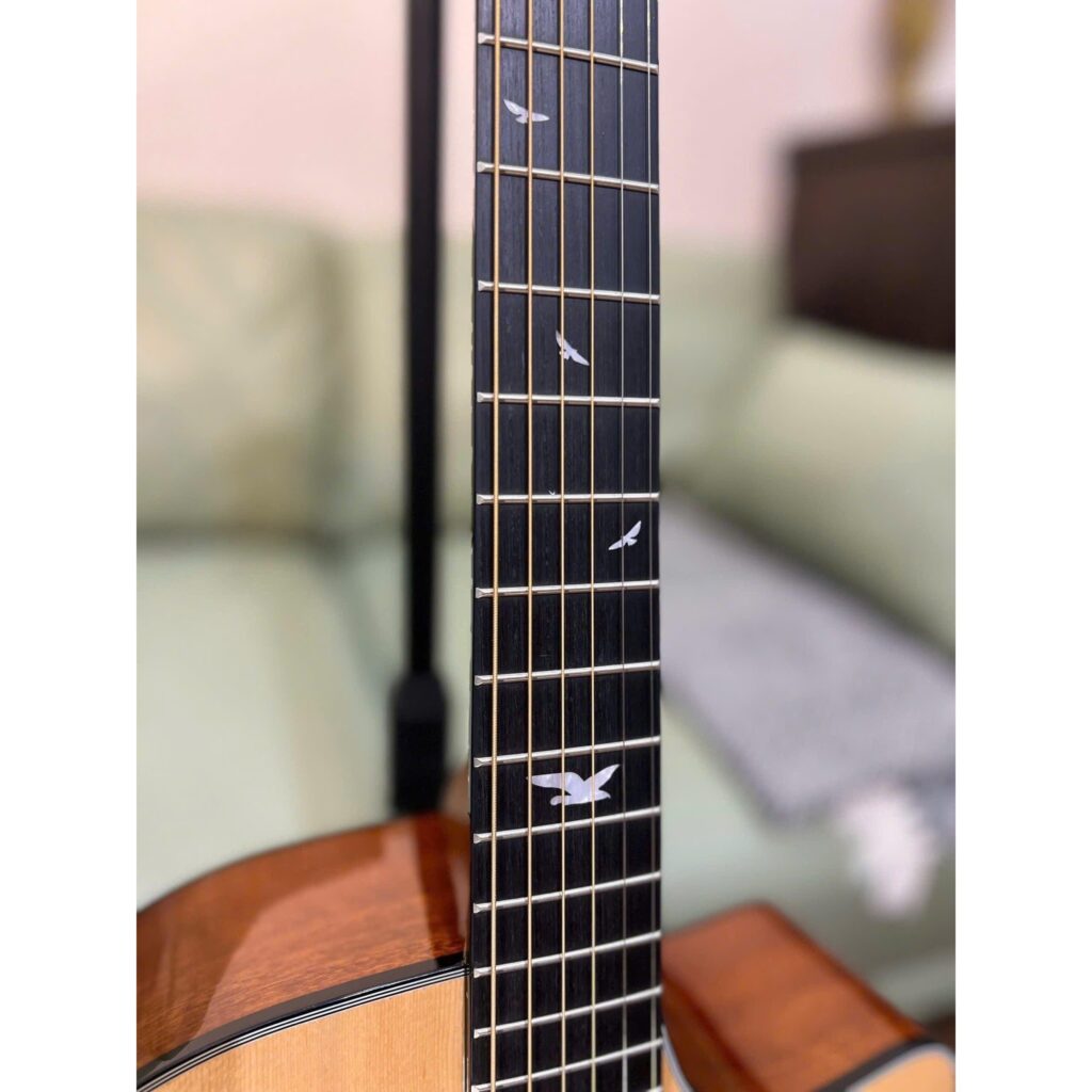 Đàn Guitar Murcia AS-10CE - tích hợp EQ 24 Murcia AS10CE Natural EQ shopguitarhanoi can dam