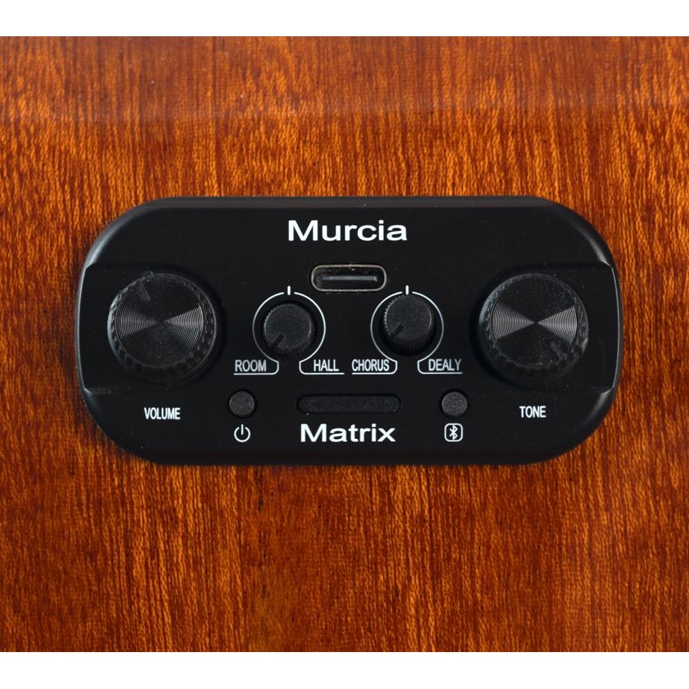 Đàn Guitar Murcia AS-10CE - tích hợp EQ 8 Đàn Guitar Murcia AS-10CE - tích hợp EQ - Ảnh 8