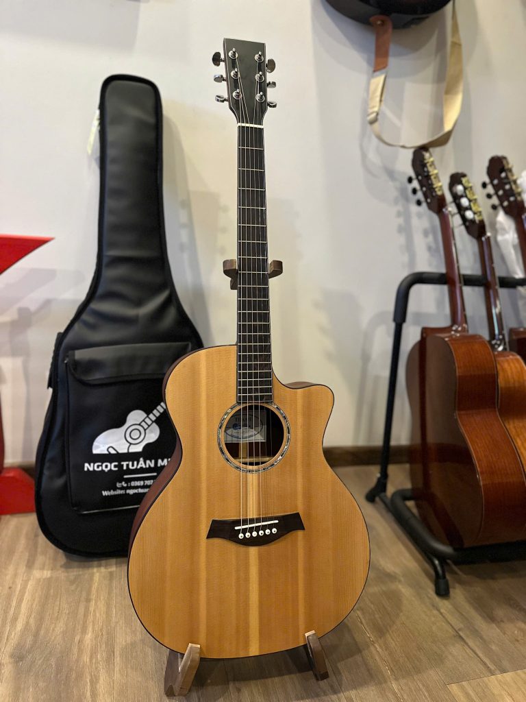 Thanh Guitar AT-04M - Hương Nắng Xuân 12 Đàn guitar classic Thanh Guitar AT-04M Hương Nắng Xuân