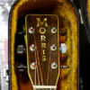 guitar acoustic morris w60 1