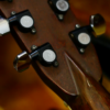 guitar acoustic morris w60 3
