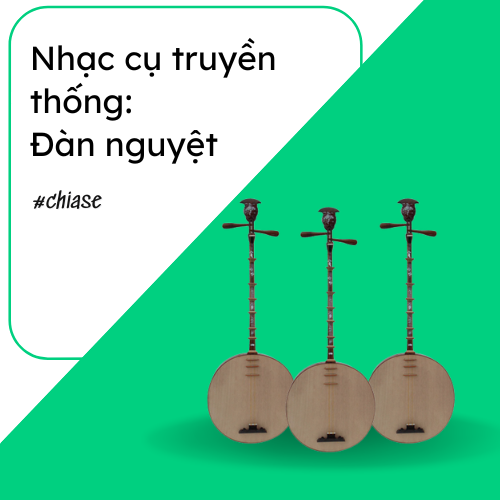 dan nguyet shopguitarhanoi